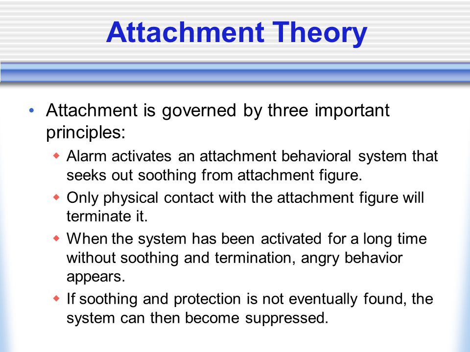 What is Attachment Theory? Why is it important?